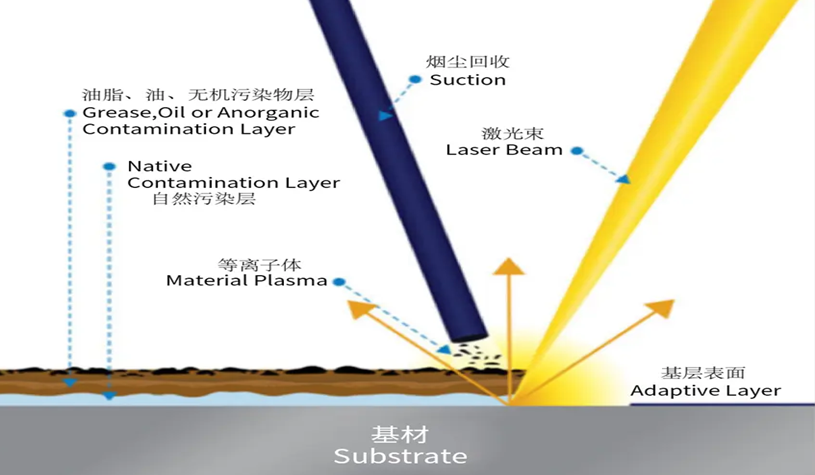 QQ截图20241210141144_副本.png